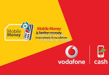 Mobile Money Business (No Agent)