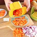 Multifunctional Dicer